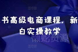 小红书电商零基础实操教程 新手从开店到运营全流程教学