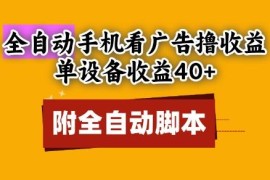 全自动看广告赚收益玩法分享 附脚本单设备日入40+可矩阵操作