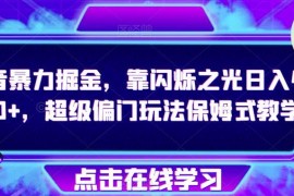 抖音闪烁之光偏门掘金保姆级教学 无需养号可稳定获取高收益