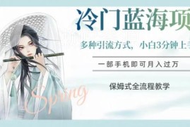 汉服冷门蓝海副业项目全流程教学 零基础小白3分钟即可上手