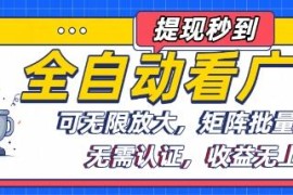 全自动看广告赚钱项目实操攻略 可矩阵批量操作无限放大