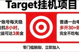 海外Target平台商品补流量项目拆解 电脑多开可日入超100美元