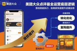 美团大众点评运营全指南 可落地执行助力商家提升店铺业绩