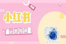 2024无套路小红书运营全指南 从账号定位到爆文打造干货汇总