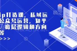 个人IP打造系统课程 含私域公众号知乎运营底层逻辑与引流方法