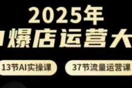 2025年AI爆店运营全体系课程 含13节AI实操37节流量运营课