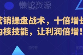 新营销操盘核心技能教程 全阶段实操实现业绩十倍增长利润倍增