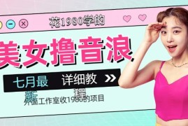 7月最新抖音美女撸音浪无人直播项目实操教程含配套软件