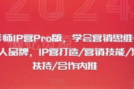 摄影师IP营Pro版课程 学习营销思维打造个人IP实现涨粉变现