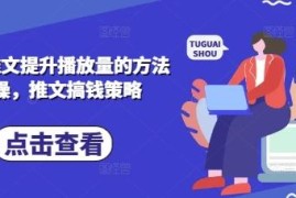 小说推文实操玩法详解 短视频推广提升播放量赚收益攻略