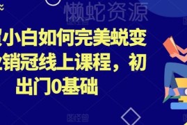 0基础外贸小白入门到行业销冠 全流程技能提升线上课程