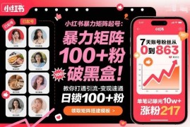 小红书矩阵起号引流变现全教程 破解流量规则高效涨粉转化