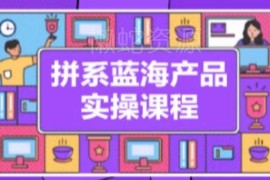 拼系冷门蓝海产品实操课程，从注册店铺到选品上架到流量维护环环相扣