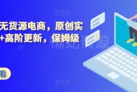 拼多多无货源电商保姆级实操教程 货源到运营全流程解析