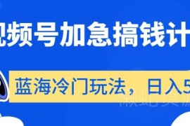 视频号蓝海冷门赚钱玩法揭秘 低门槛可实操日入500+项目指南