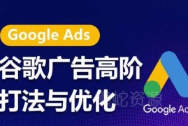 谷歌广告高阶打法体系课程 全链路优化投放策略提升ROI