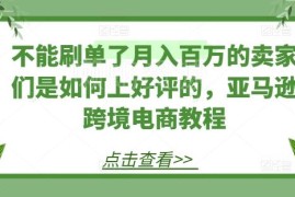 亚马逊禁止刷单后如何获好评 跨境电商卖家合规上评实用教程