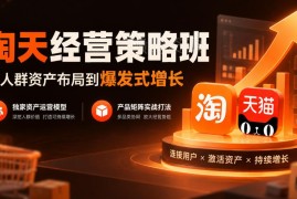 淘天经营策略班实操课程 从人群资产布局到产品矩阵实战运营