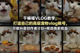 宠物VLOG账号运营教学 从起号涨粉到变现全流程实操指南