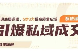私域成交力系统课 打通底层逻辑5步3力搭建高质量私域运营体系