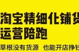 2025更新淘宝精细化铺货运营陪跑课 无货源草根也能开店挣钱