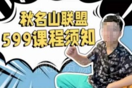 直播间小店随心推叠投实操课程 零基础掌握投放底层逻辑少走弯路
