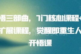 开悟三部曲课程合集 7门核心+15门扩展 助力思维提升生命觉醒