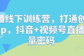 创始人IP直播线下训练营 解锁抖音视频号流量运营全链路技巧