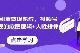 视频号引流变现系统教程 底层逻辑与全流程实操运营技巧汇总