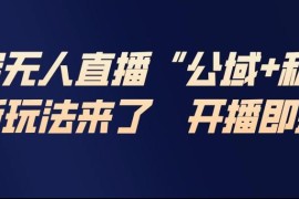 2025淘宝无人直播公域+私域玩法 零基础爆单完整实操教程