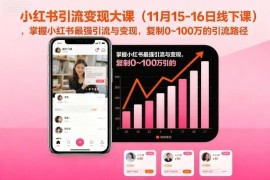 小红书引流变现系统实操课 掌握0到100万可复制引流路径