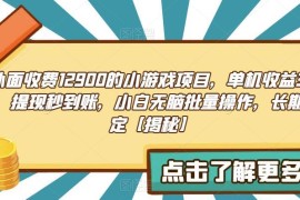 原售价1290 单机收益30+可批量操作小游戏赚钱项目揭秘
