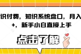 知识付费系统盘口实操攻略 新手零基础可上手月入过万