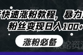 抖音暴力涨粉实操教程 涨粉多路径变现玩法附配套教学资源