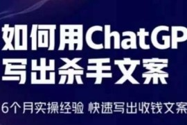ChatGPT写高转化收钱文案实操教程 6个月经验教你快速出稿