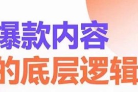 爆款短视频打造全攻略 掌握底层逻辑揽获精准客提升成交复购
