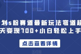 最新S粉赛道实操玩法拆解 新手易上手单日可变现700+
