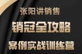 张阳销售实战训练营教程 销冠核心技巧案例实操全攻略