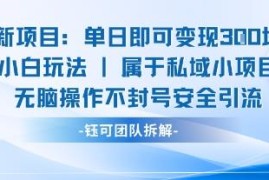 适合新手小白的单日变现安全引流玩法 操作简单无门槛不封号