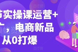 99节电商运营推广实操课 手把手教你新品从0打爆全流程