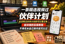 视频伙伴计划快速通过实操教程 零成本自行操作无需额外付费
