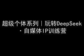 DeepSeek自媒体IP训练营教程 超级个体打造变现系统课程