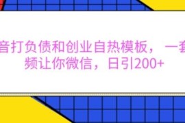 抖音负债创业自热模板使用教程 可实现日引微信精准粉200+