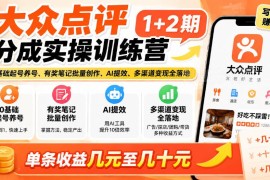 大众点评分成实操全攻略 0基础起号养号AI提效多渠道变现