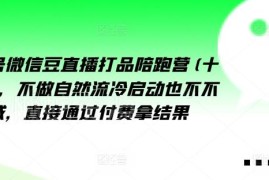 视频号微信豆直播打品攻略 无需冷启动私域的付费投流实操教程