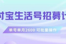 支付宝生活号作者招募计划详解 单号月入2600可批量操作