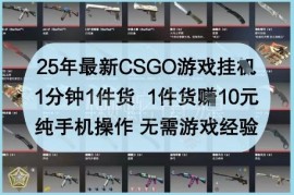 2025年CSGO游戏搬砖赚钱项目详解 无经验手机即可操作
