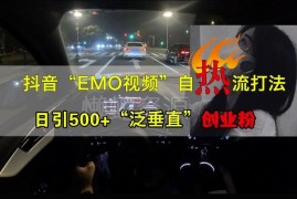 抖音EMO视频自热引流打法 日引500+泛垂直创业粉实操教程