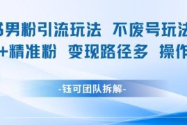 小红书不废号男粉引流玩法 日引100精准男粉多路径变现易操作