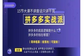 朋哥拼多多电商实战15节干货课 可落地复制的店铺运营实操教程